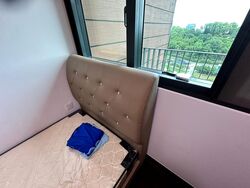 Normanton Park (D5), Apartment #577328621
